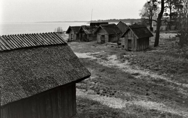 Zivis katlā un uz pannas – tās ir Mājas kafejnīcu dienas (1.daļa)