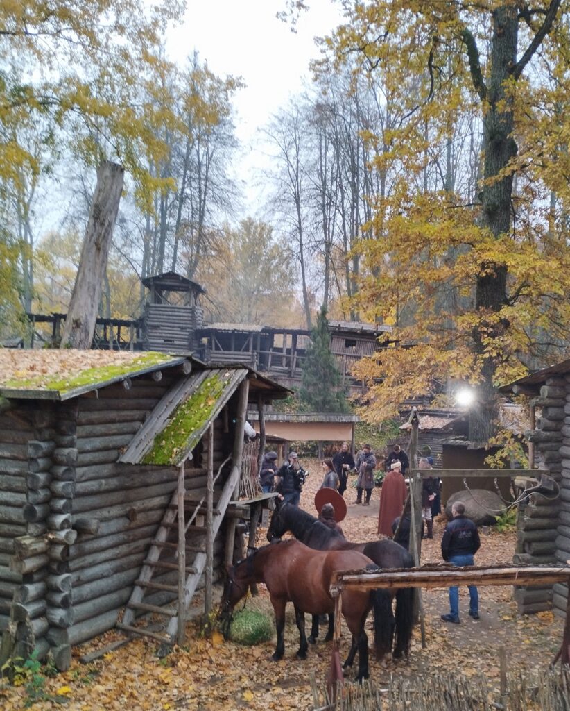 uznemsanas laukums