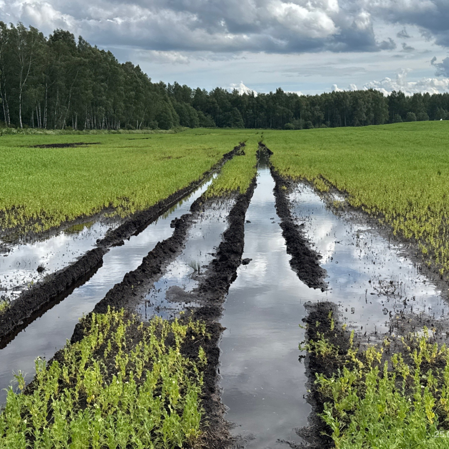 Situācija uz laukiem – kritiska
