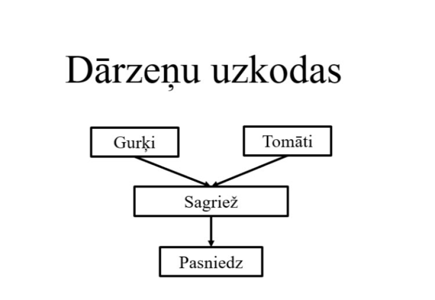 Sistēma atražo pati sevi
