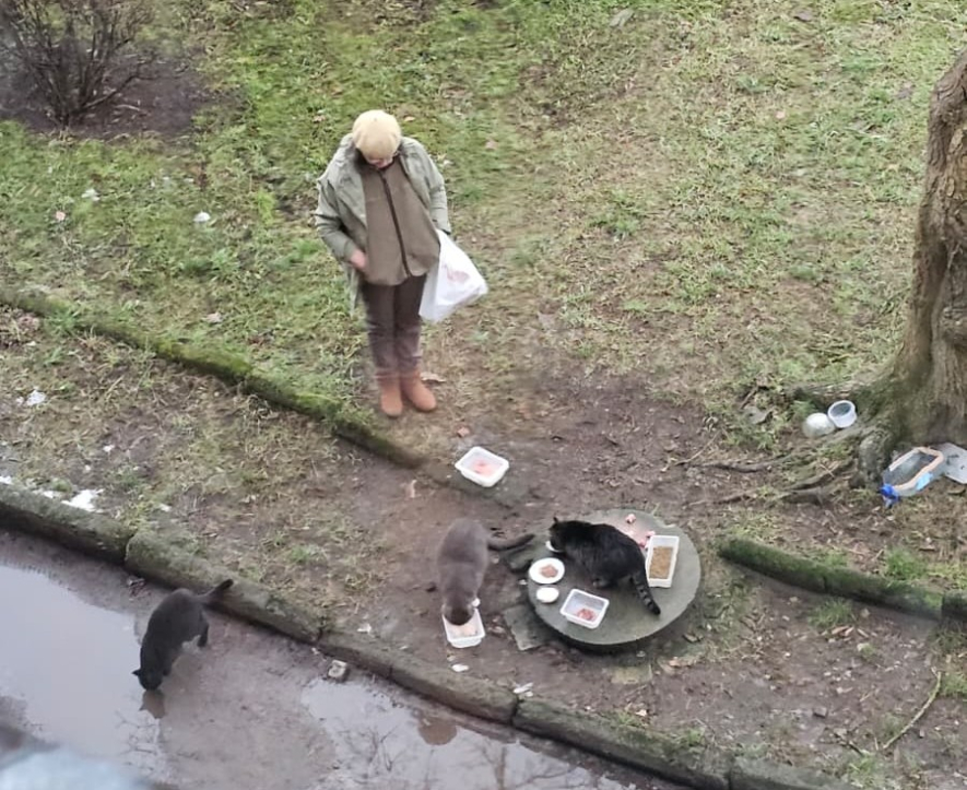 Dzīvnieku un cilvēku izdzīvošanas stratēģijas